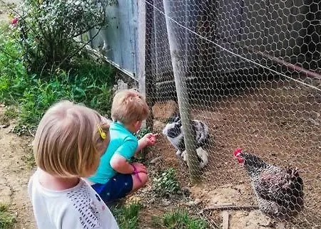 Aux Oiseaux - Mobil-home 3 Pièces 4 Personnes Mae-0991 Martiel